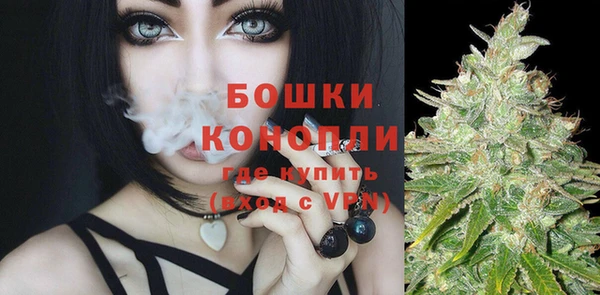 прущий лед Верея